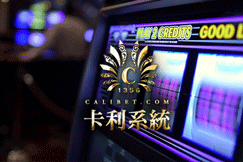 Live Casino Game